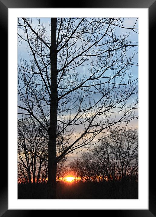 Sunrise Framed Mounted Print by stacey meyer