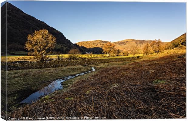 Borrowdale (Bathed in Sunlight) Canvas Print by David Lewins (LRPS)