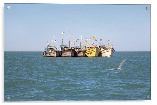 Line up of Fishing boats Gull checks in Acrylic by Arfabita  