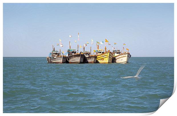 Line up of Fishing boats Gull checks in Print by Arfabita  
