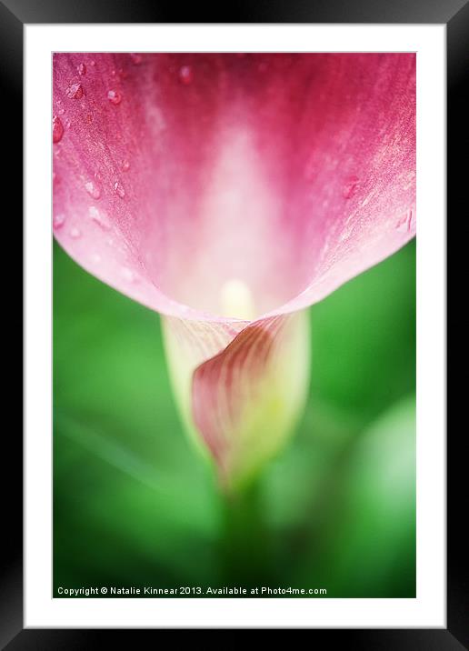 Pink Calla Lily Framed Mounted Print by Natalie Kinnear