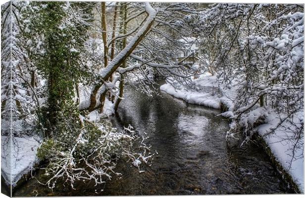 Snowy River Canvas Print by Ian Mitchell