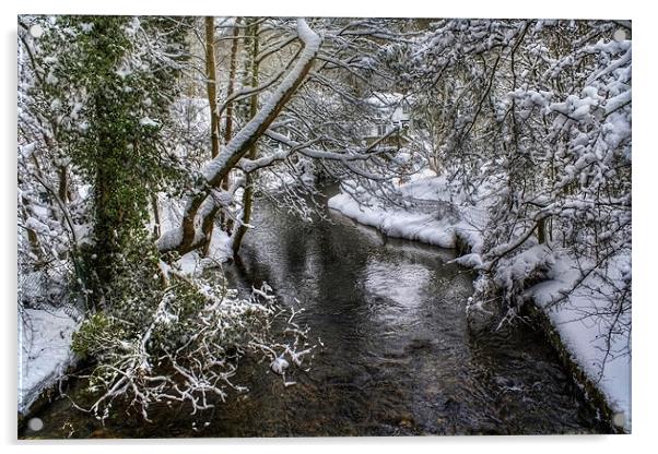 Snowy River Acrylic by Ian Mitchell