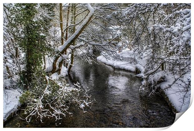 Snowy River Print by Ian Mitchell