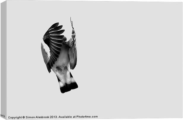 Winged Canvas Print by Simon Alesbrook