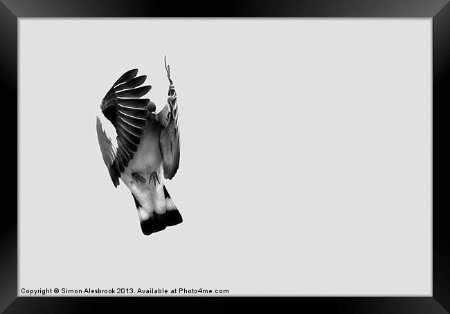 Winged Framed Print by Simon Alesbrook