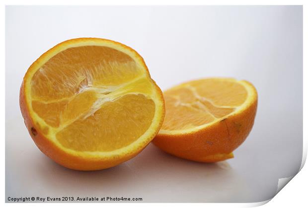 Orange Sliced Print by Roy Evans