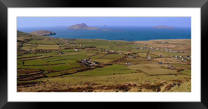 View of the Blasket Islands Framed Mounted Print by barbara walsh