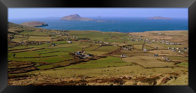 View of the Blasket Islands Framed Print by barbara walsh