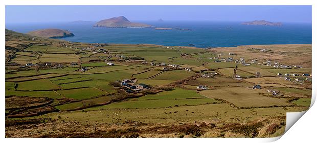 View of the Blasket Islands Print by barbara walsh