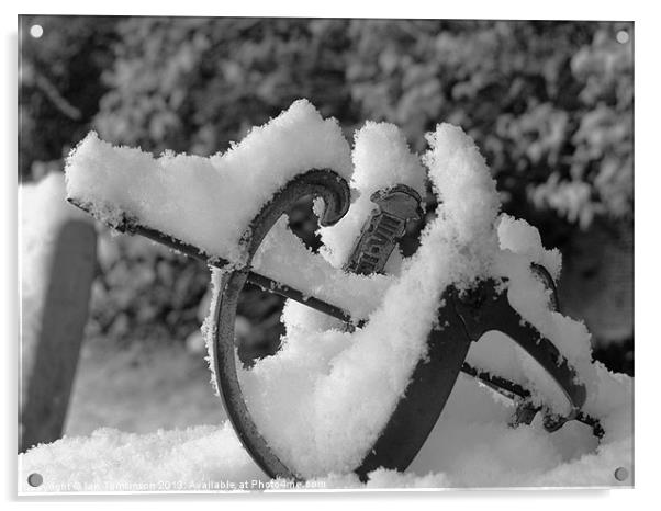 Snow time like the present Acrylic by Ian Tomkinson