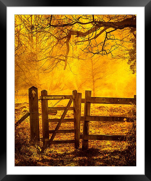 Gate to Nowhere Framed Mounted Print by Mark Llewellyn