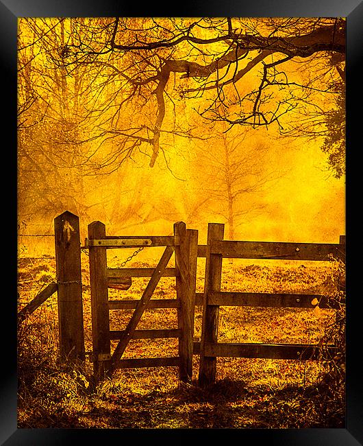 Gate to Nowhere Framed Print by Mark Llewellyn