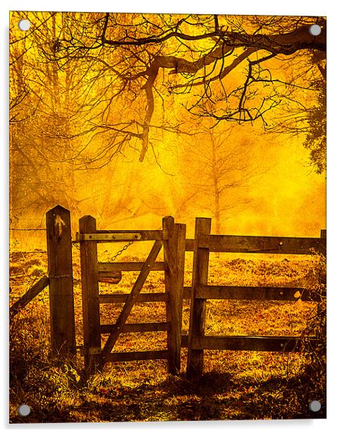 Gate to Nowhere Acrylic by Mark Llewellyn