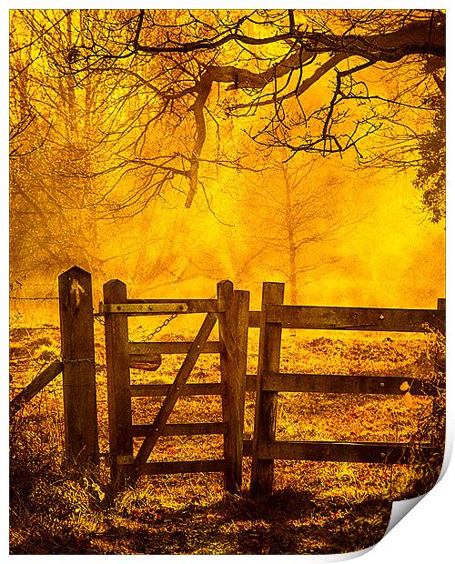 Gate to Nowhere Print by Mark Llewellyn