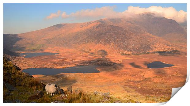 View from the Connor Pass Print by barbara walsh