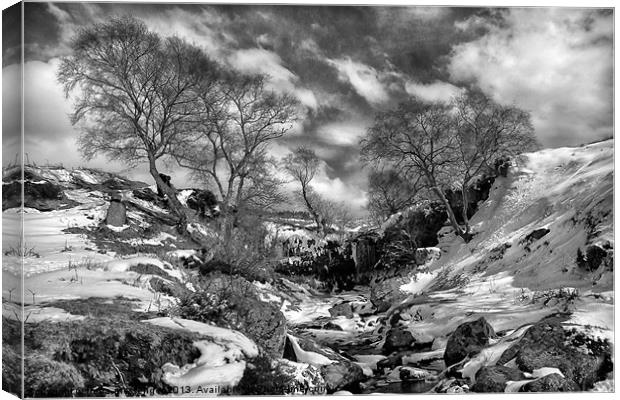 Waterfall Snowfall Canvas Print by Fiona Messenger