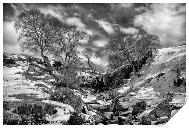 Waterfall Snowfall Print by Fiona Messenger