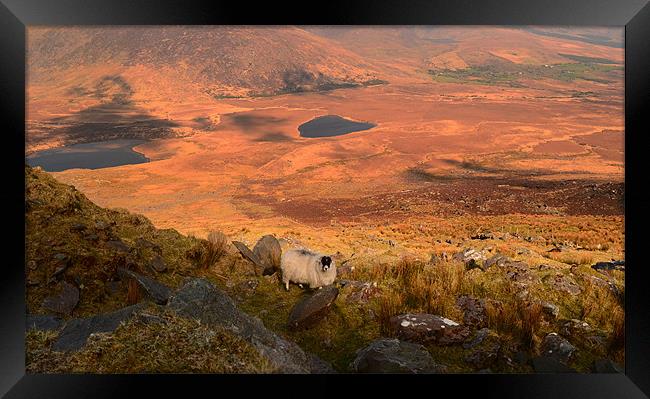 View from the Connor Pass Framed Print by barbara walsh