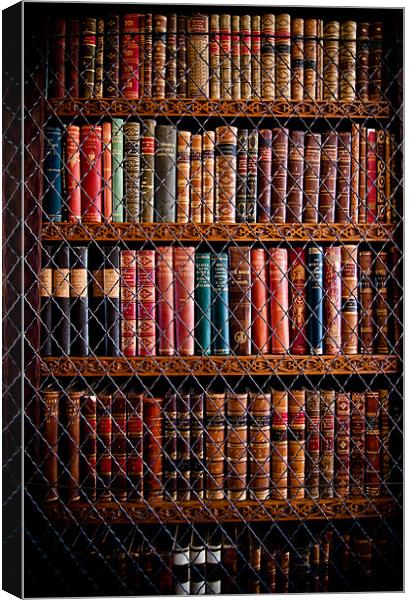 Book Shelf Canvas Print by Paula Puncher