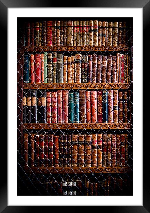 Book Shelf Framed Mounted Print by Paula Puncher