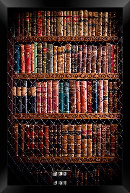 Book Shelf Framed Print by Paula Puncher
