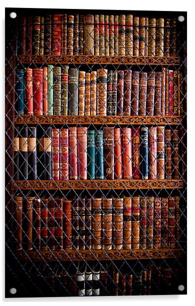 Book Shelf Acrylic by Paula Puncher