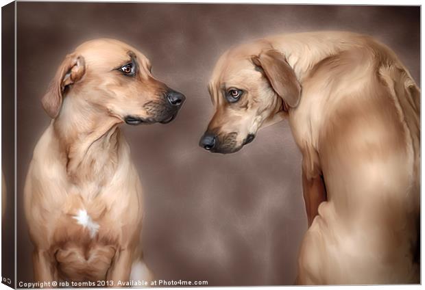DOMESTIC TWINS Canvas Print by Rob Toombs