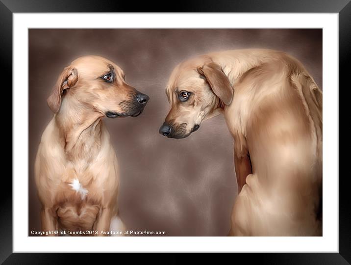 DOMESTIC TWINS Framed Mounted Print by Rob Toombs