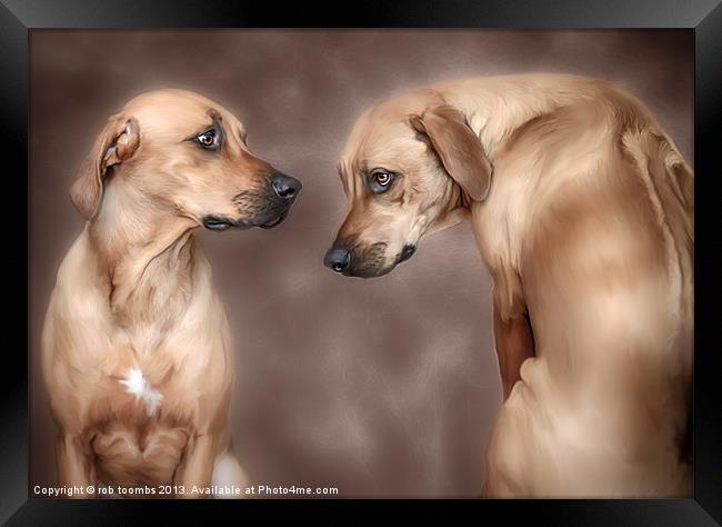 DOMESTIC TWINS Framed Print by Rob Toombs