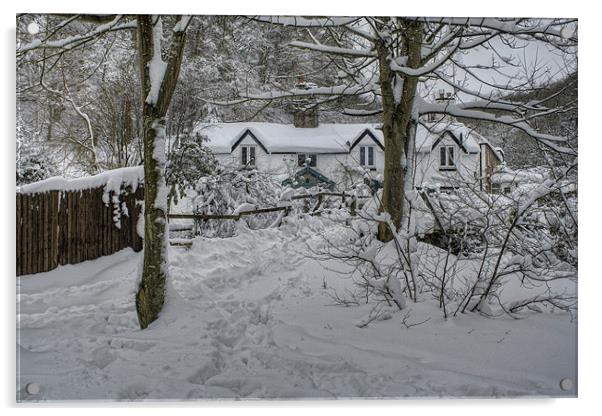 Snowy House Acrylic by Ian Mitchell