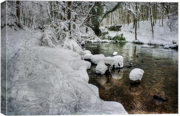 Snow on the River bank Canvas Print by Ian Mitchell