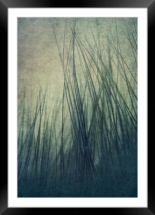 Feathered Framed Mounted Print by Sharon Johnstone