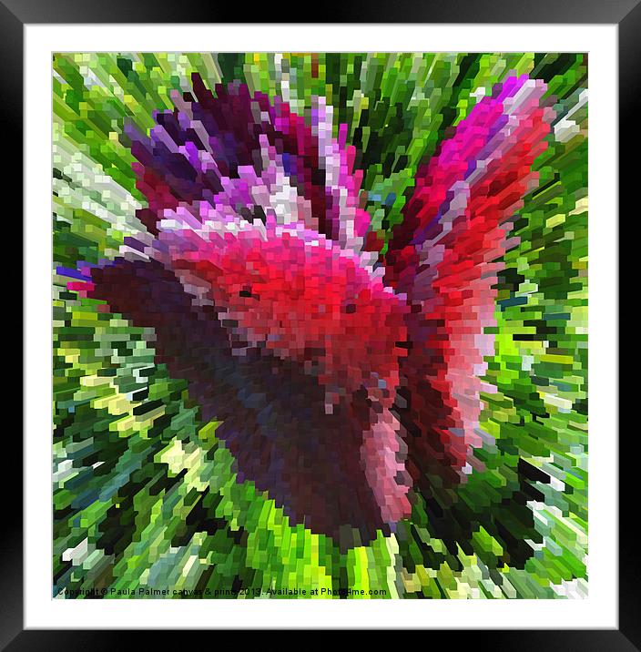 Extrusion digital tulip flower Framed Mounted Print by Paula Palmer canvas