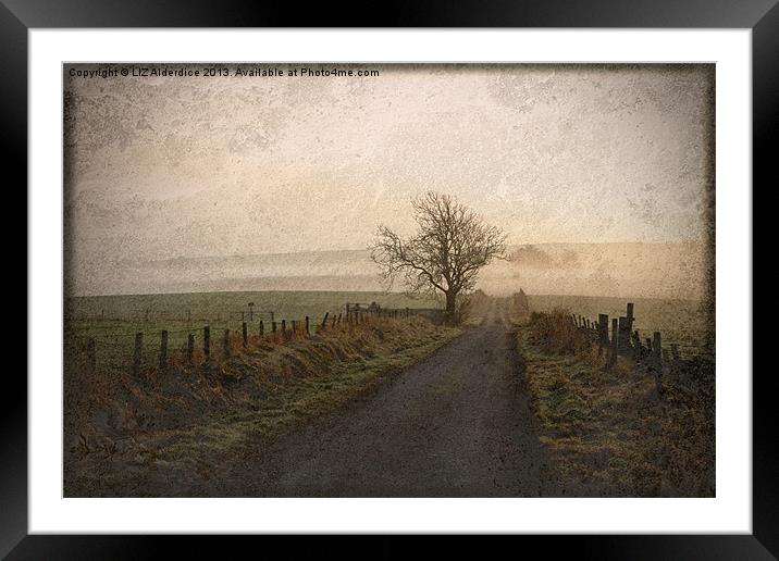 The Road Not Taken Framed Mounted Print by LIZ Alderdice