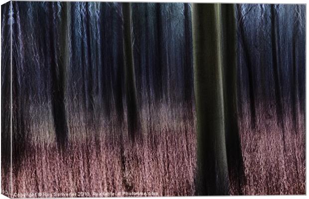 Enchanted Forest Canvas Print by Roy Scrivener