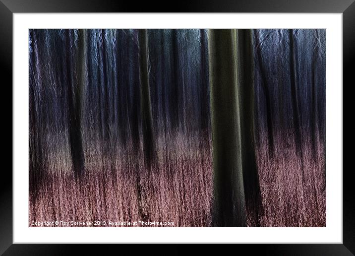 Enchanted Forest Framed Mounted Print by Roy Scrivener