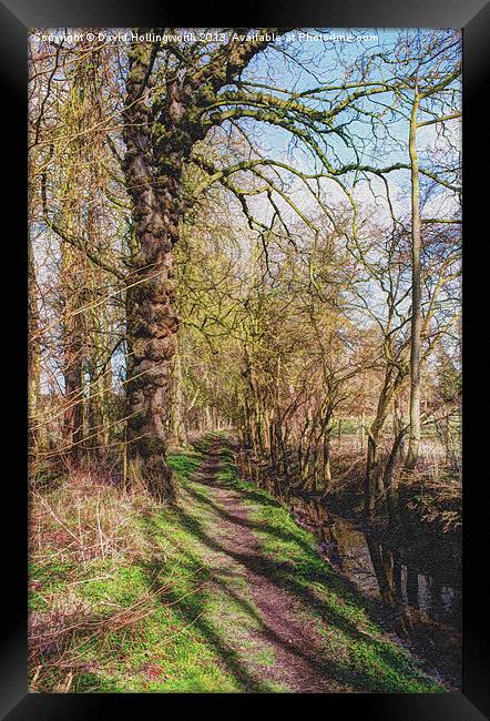 Path and Stream Framed Print by David Hollingworth
