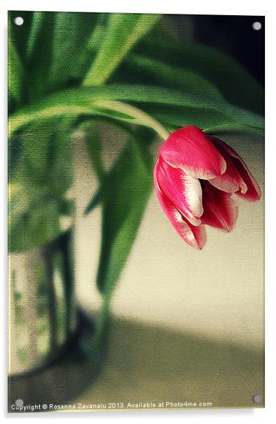 Just One Tulip. Acrylic by Rosanna Zavanaiu