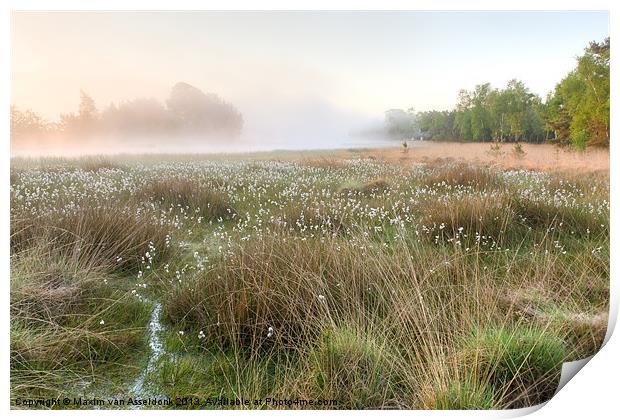 The happy meadows Print by Maxim van Asseldonk