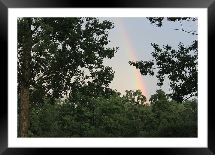 Rainbow Framed Mounted Print by stacey meyer