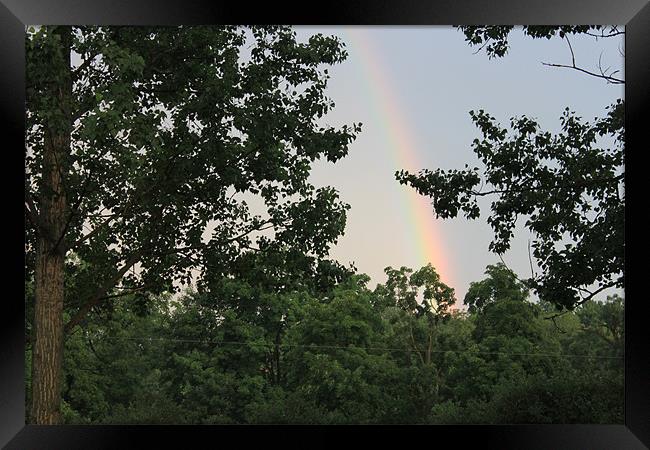 Rainbow Framed Print by stacey meyer