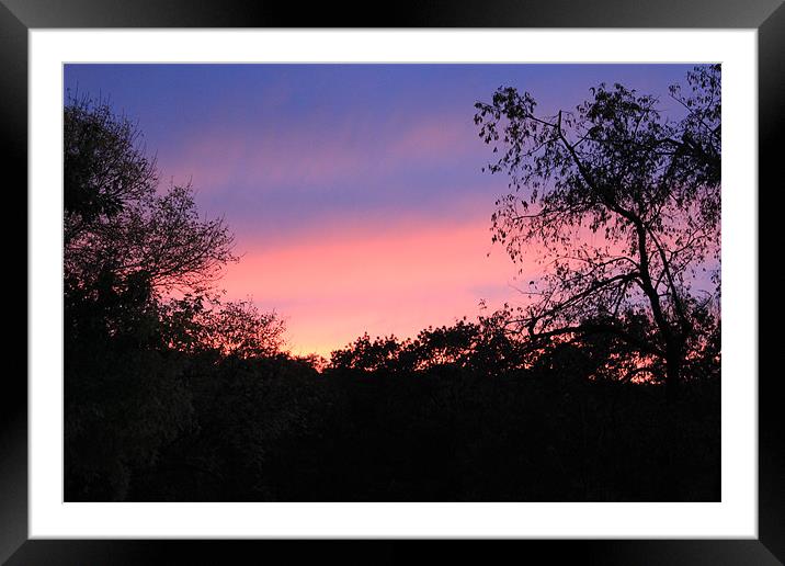 Early Morning Framed Mounted Print by stacey meyer