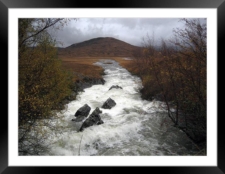 Rapid river through Scottish Highlands Framed Mounted Print by Dave Wyllie