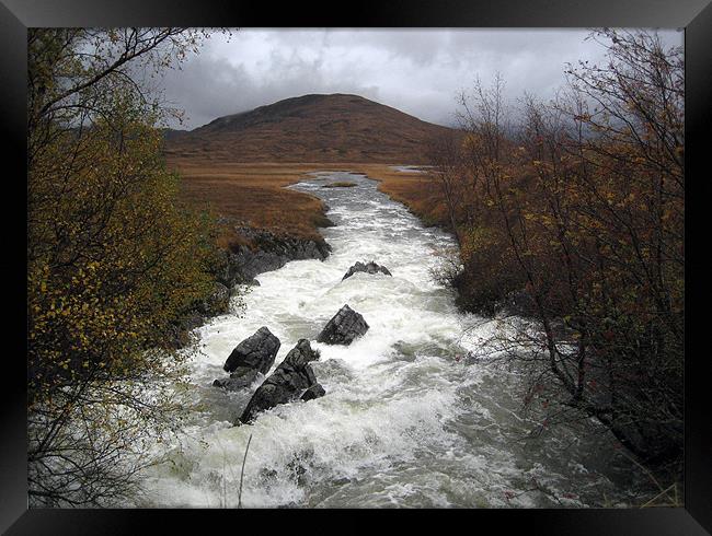 Rapid river through Scottish Highlands Framed Print by Dave Wyllie
