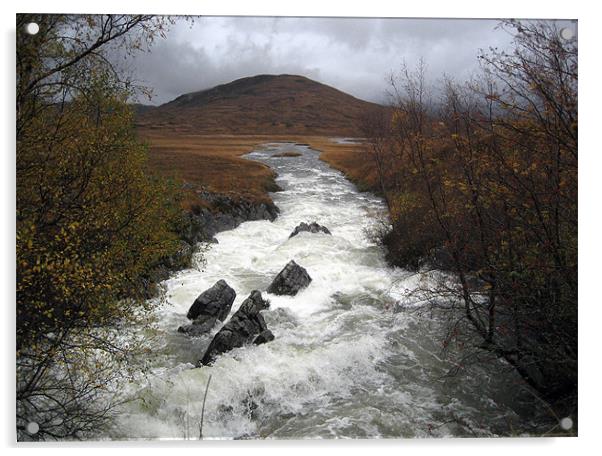 Rapid river through Scottish Highlands Acrylic by Dave Wyllie