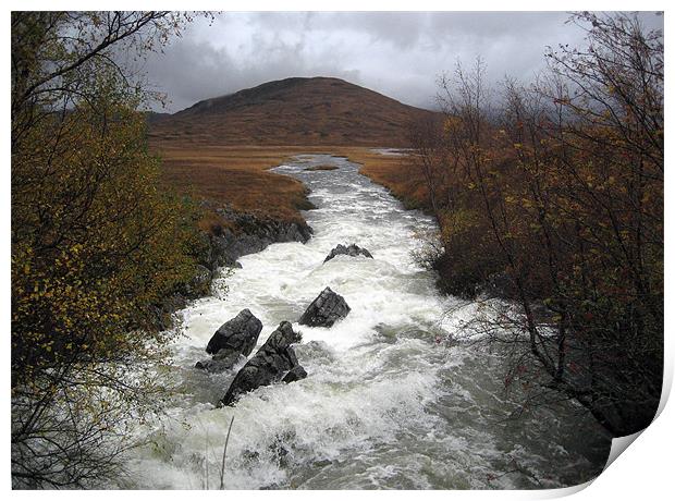Rapid river through Scottish Highlands Print by Dave Wyllie