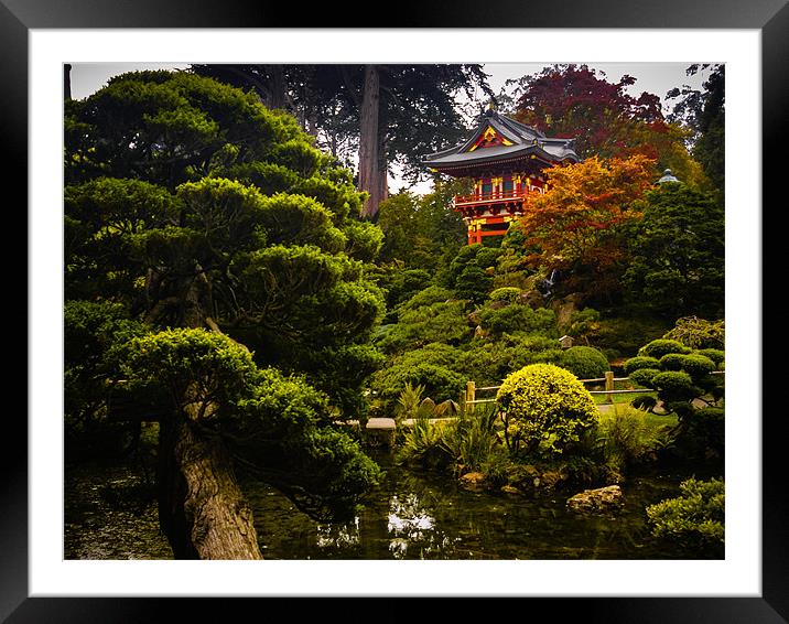 Japanese Garden Framed Mounted Print by Mark Llewellyn