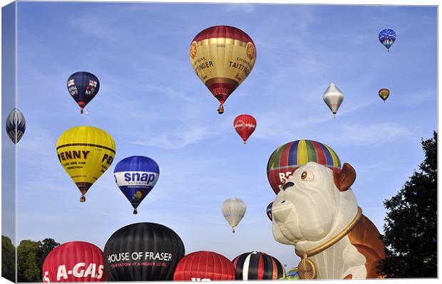 Lift off! Canvas Print by Peter Cope