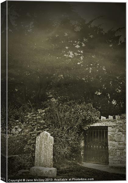 The Fortingall Yew, Perthshire, Scotland Canvas Print by Jane McIlroy